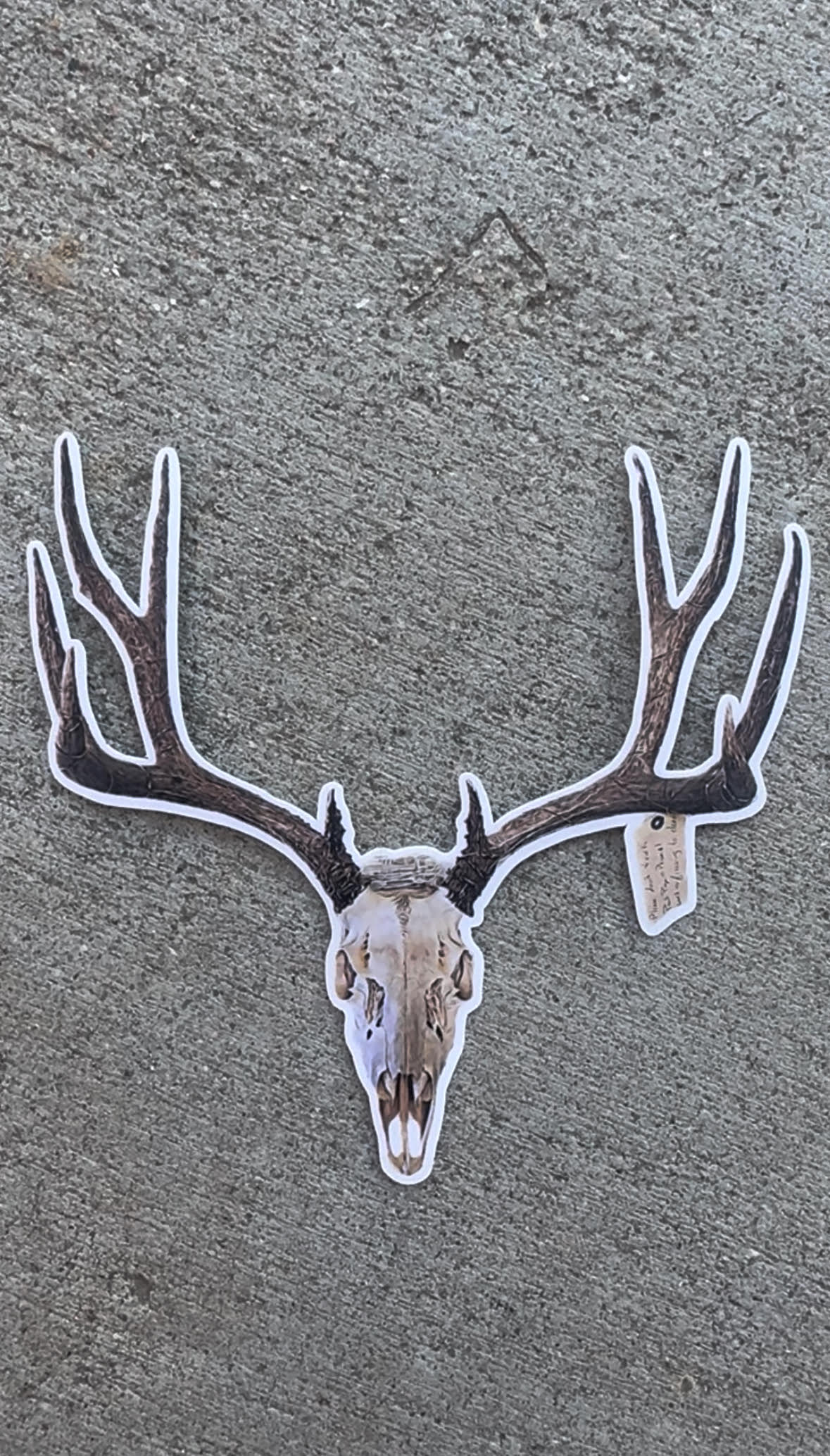 Custom Deadhead Sticker
